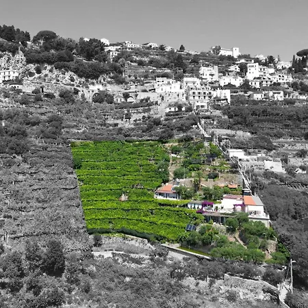 I Limoni Ravello