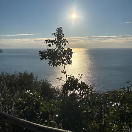 I Limoni Ravello