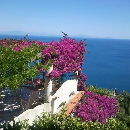 I Limoni Daire Ravello