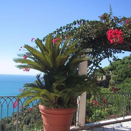 I Limoni Ravello