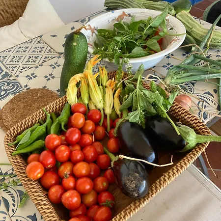 Appartamento I Limoni Ravello