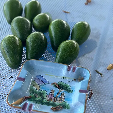 I Limoni Appartamento
