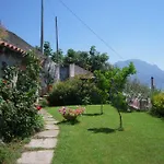 I Limoni